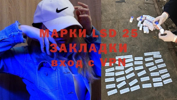 эйфоретик Вяземский