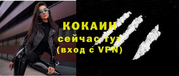 эйфоретик Вяземский